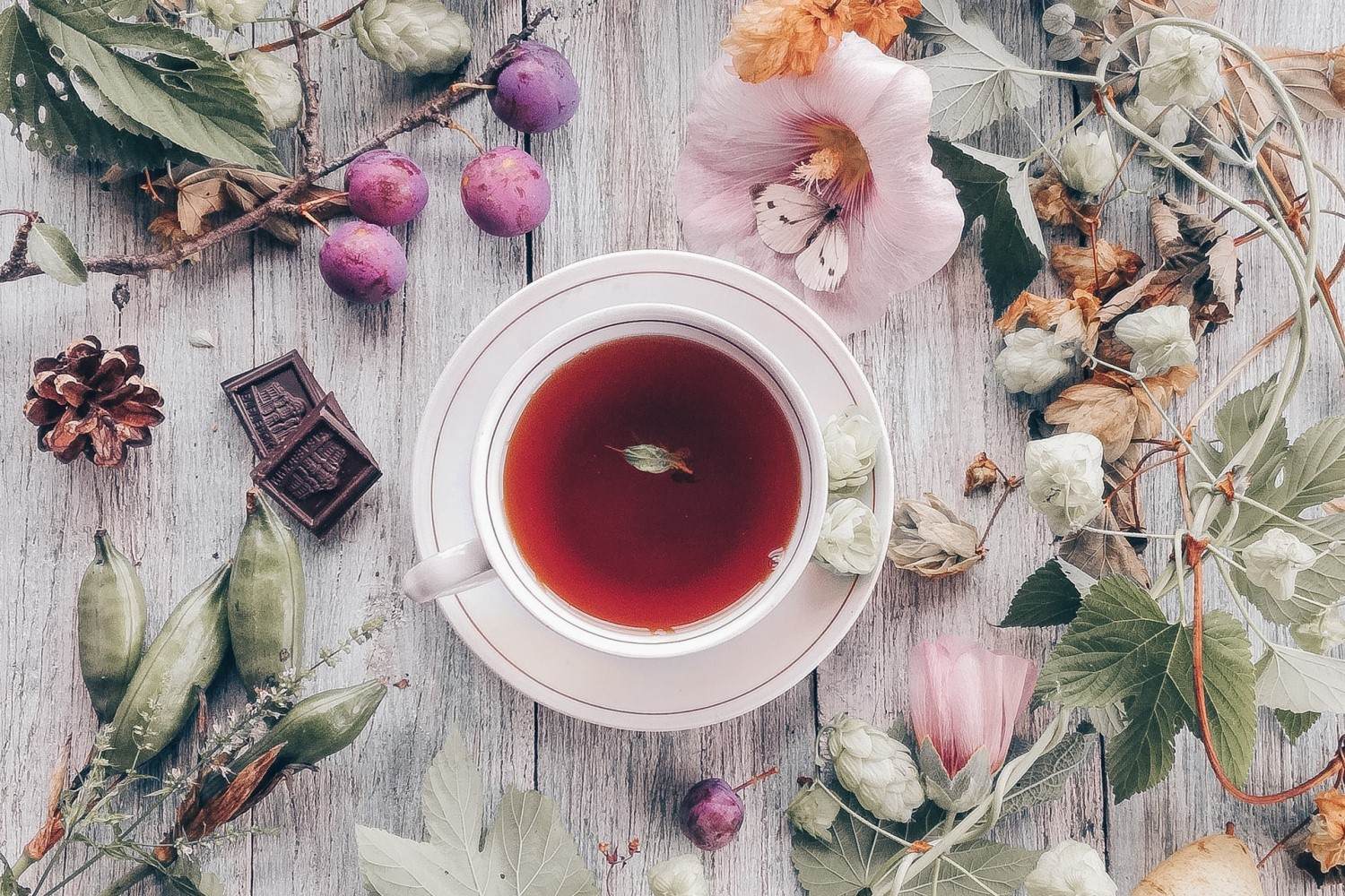 Our 5 Favorite Teas to Signal The First Signs of Spring