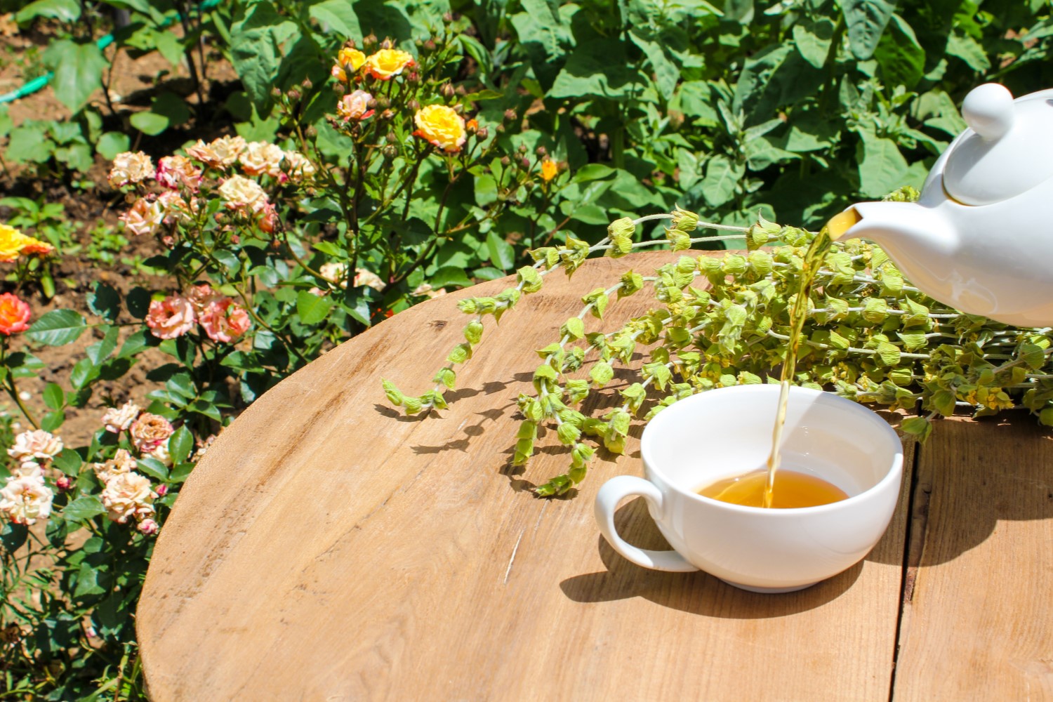 Premium organic mountain tea from Greece. High quality tea in USA.  Online tea and Honey Shop.
