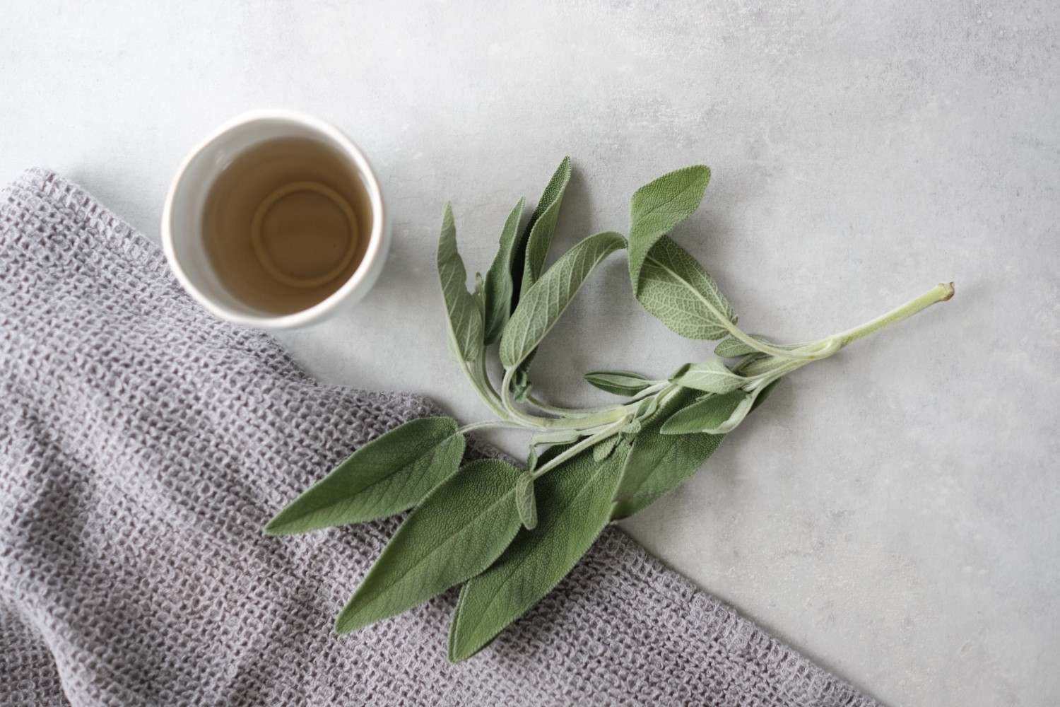 What is Sage Tea? 5 Health Benefits of Using Sage Tea.
