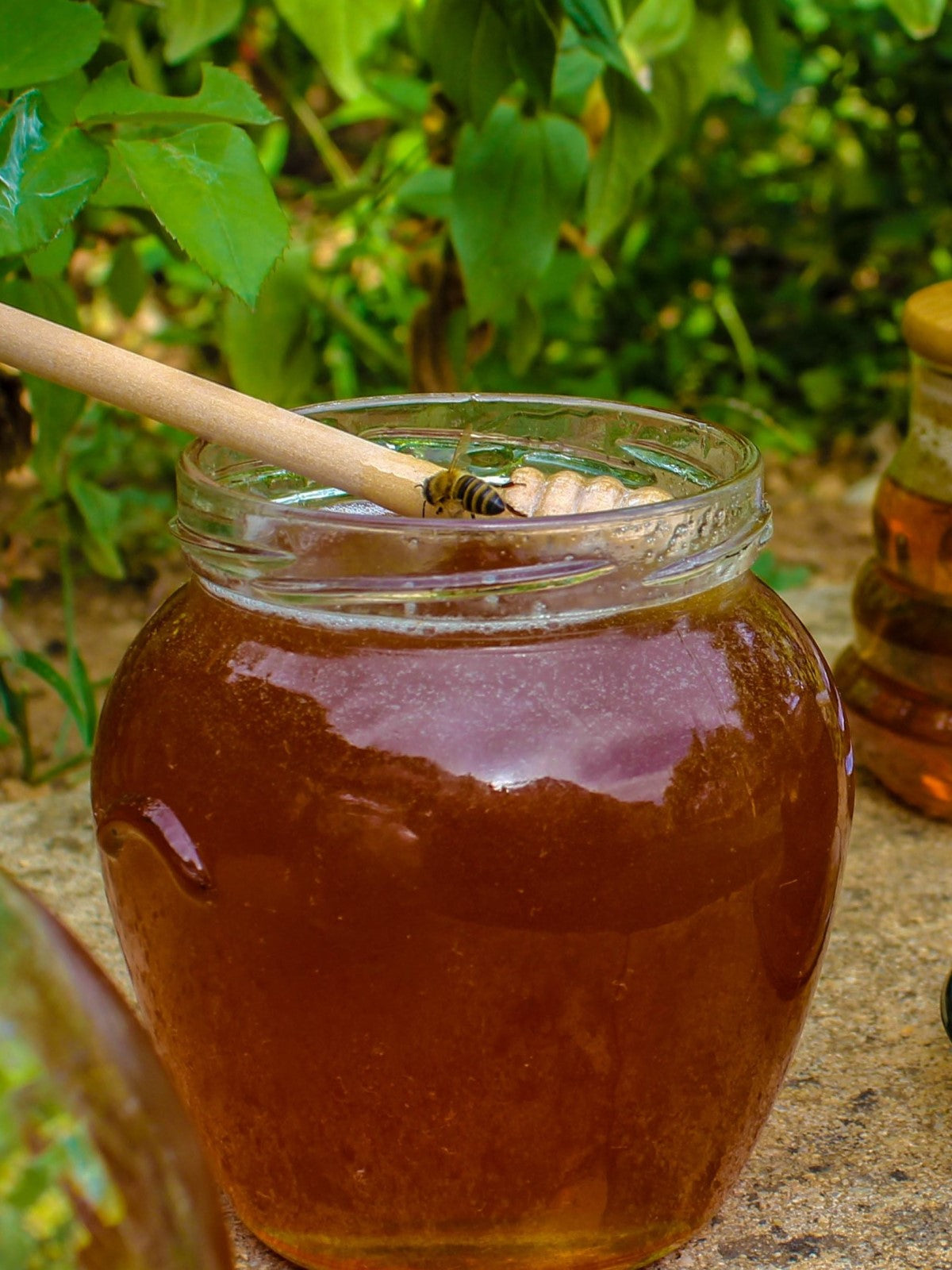Wild Oregano Honey